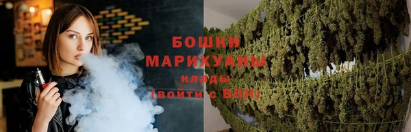 дмт Тында