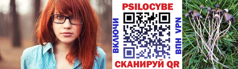наркотики  omg как зайти  Галлюциногенные грибы мухоморы  Шахты 