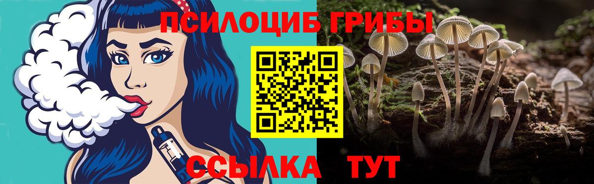 Псилоцибиновые грибы Psilocybe  цены   Шахты  Вход с VPN 