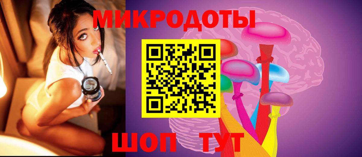 Псилоцибиновые грибы Psilocybine cubensis Шахты